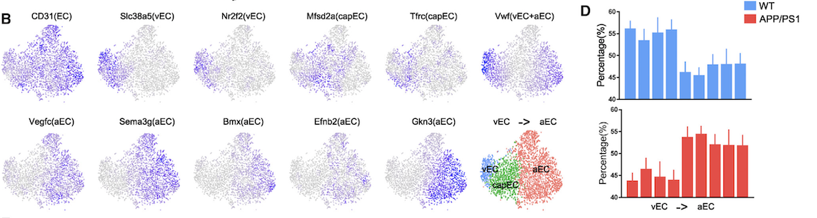 Zhirui's Lab | Single-cell Omics